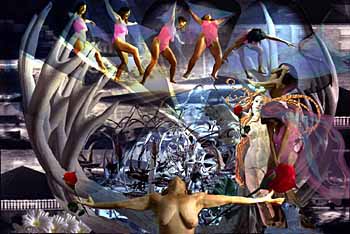 Falling Into Arms Image