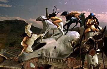 She Plays With Horses Photo