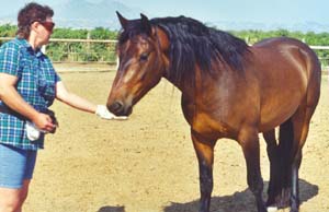 Bruno Taking the Treat