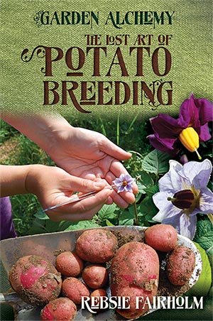 Potato breeding