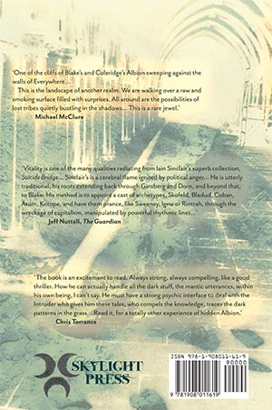 Suicide Bridge back cover