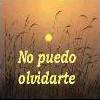Nunca te olvido
