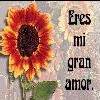 Mi gran amor eres t�