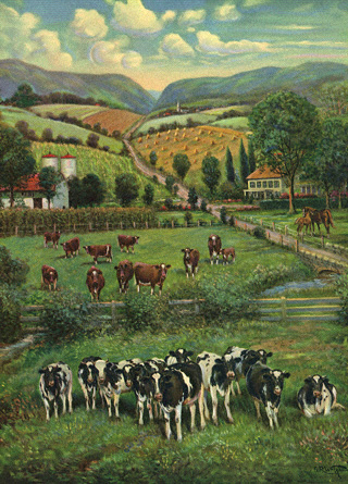 cows in field
