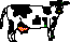b/w cow