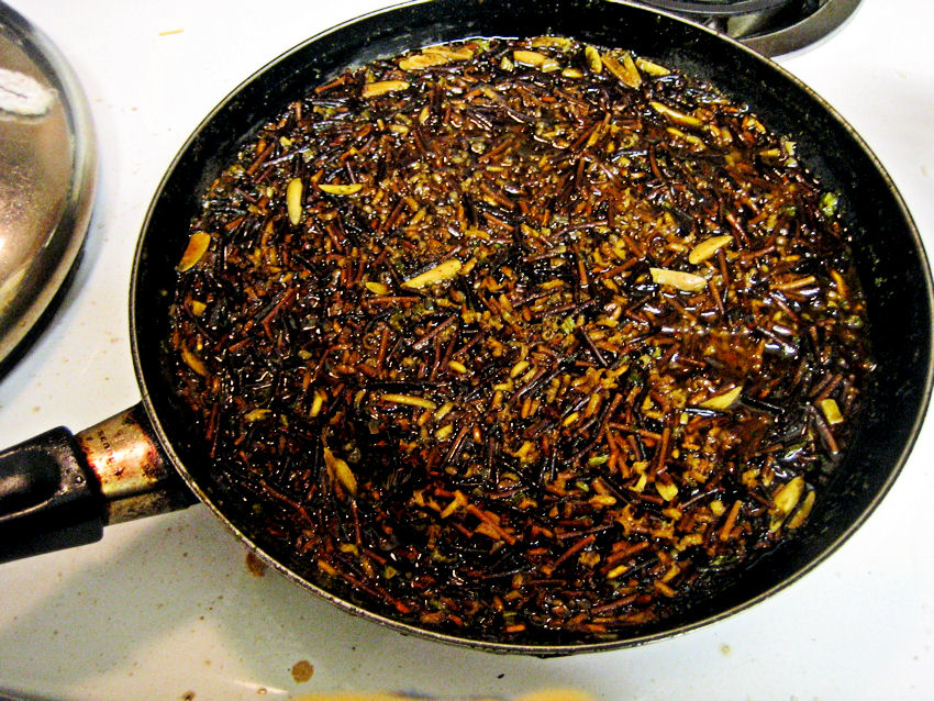 Far Shot of Myanmar landscape