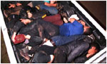 Illegal aliens in truck bed