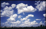 Puffy Clouds
