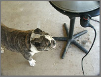 Shadrach & George Foreman