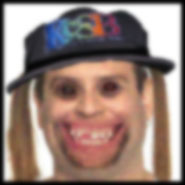 The American Public seen through the eyes of the DeMedia and the Liberal Establishment