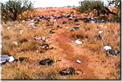 Trash line of illegal aliens ... click to see more photos and get information @ AIC