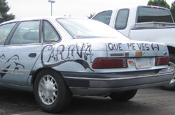 Mexican diversity. Click to enlarge!