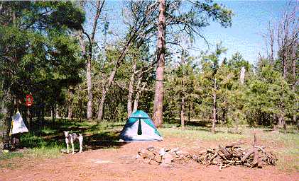 camping.jpg (30837 bytes)