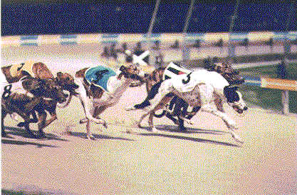 wpe4C.jpg (46744 bytes)