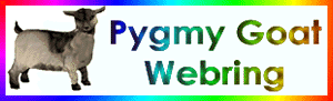 Pygmy Goat Webring