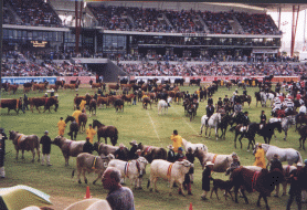 eastershow