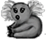 koala