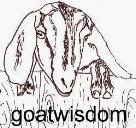 goatwisdom