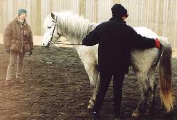 Iceland Clicker Demo