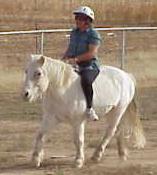 Riding in Pasture