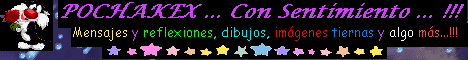 Pochakex... con sentimiento