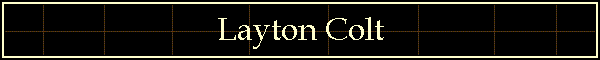 Layton Colt