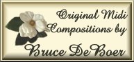Bruce DeBoer logo image