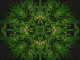 ~ Scoped Leaf Pattern Center Wallpaper ~