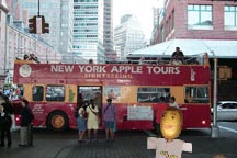 Mateo Potato takes a tour of the Big Apple