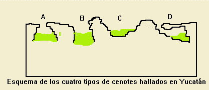 Tipos de Cenotes de Yucat&aacute;n
