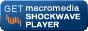 Shockwave Player Download