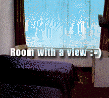 The Bergse Bossen, Driebergen - NL