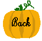 pumpkin back button