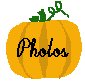 pumpkin photos button