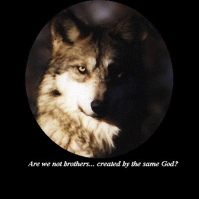 brotherwolfblk.jpg (36022 bytes)