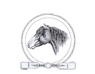 Seja s�cio voc� tamb�m do nosso N�cleo!