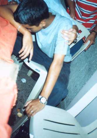 denmark.jpg (18073 bytes)