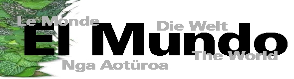 Nga Aot�roa - Relaciones Internacionales en la Red