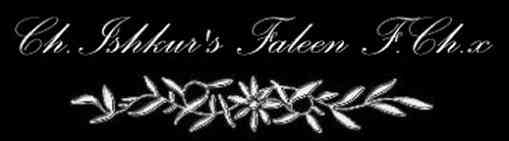 Ch.Ishkur's Faleen F.Chx