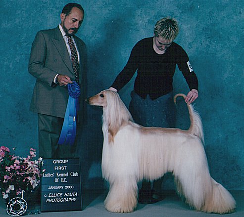 Afdghan Hound- Ch.Ishkur's Winter Wheat wins a Group 1