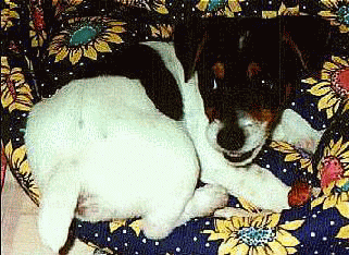 Showing off his cute bum!