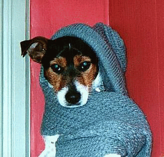 He actually likes this hat!