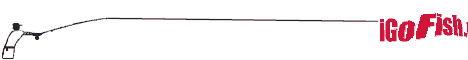 igofish