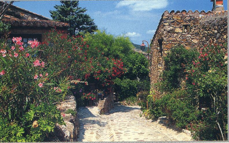 lauriers fleuris et pierres dores