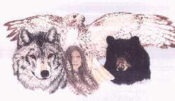WolfSeeker Notecards & Paintings