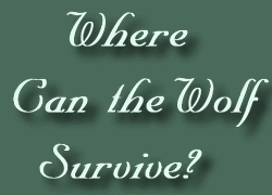 Where Can The Wolf Survive?