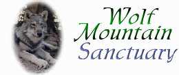 The Wolfe Mountain Sanctuary