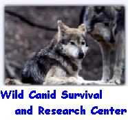 Wild Canid Survival and Research Center