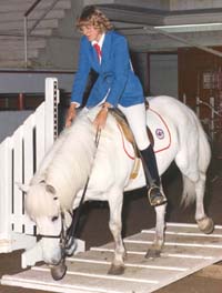 Christine and Value Trail Trials