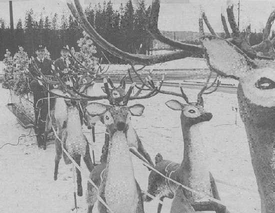 click the picture # below to see full sized image